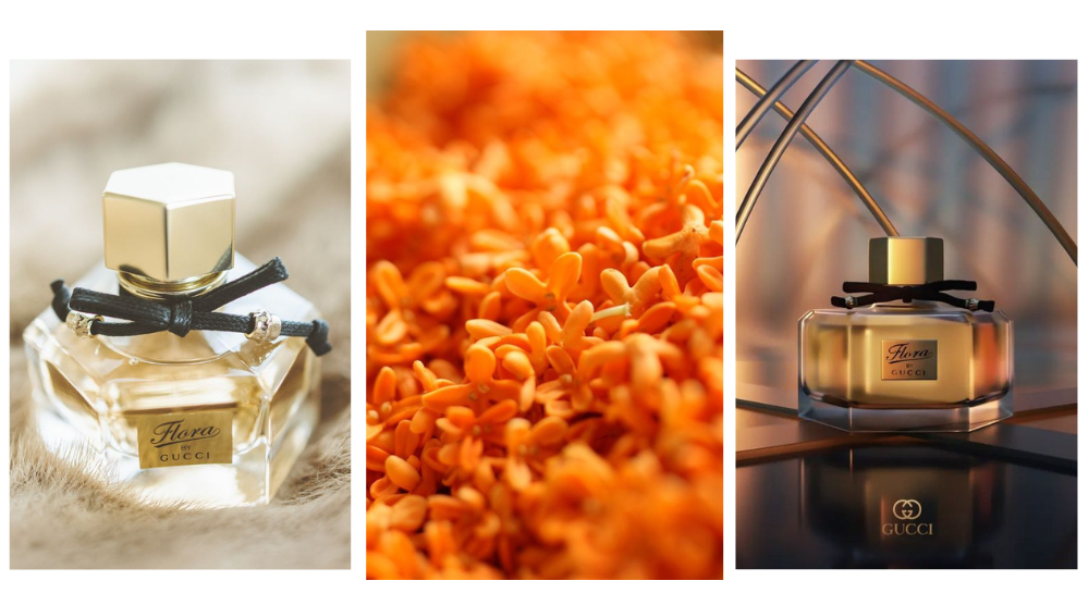 Gucci Flora By Gucci стаття "дорогі ноти у парфумерії" фото