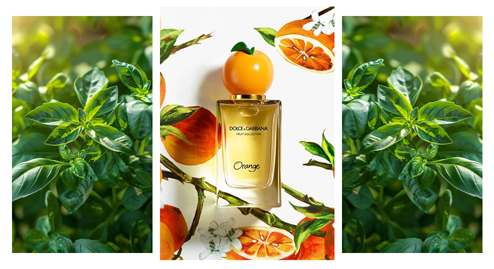 Dolce Gabbana Orange - блог аромат с базиликом фото