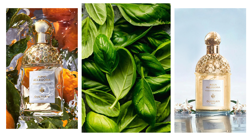 Guerlain Aqua Allegoria Mandarine Basilic - блог аромат с базиликом фото