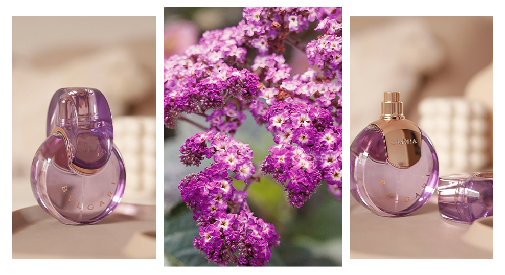 Omnia Amethyste от Bvlgari - гелиотроп фото