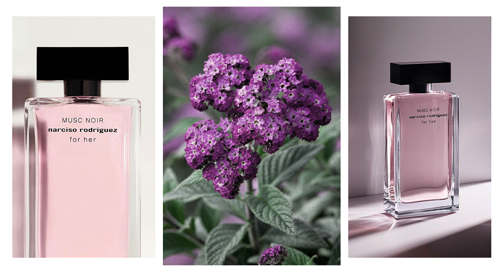 Narciso Rodriguez Musc Noir - гелиотроп фото