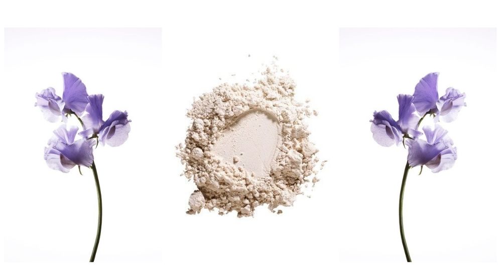 ирис фото статті