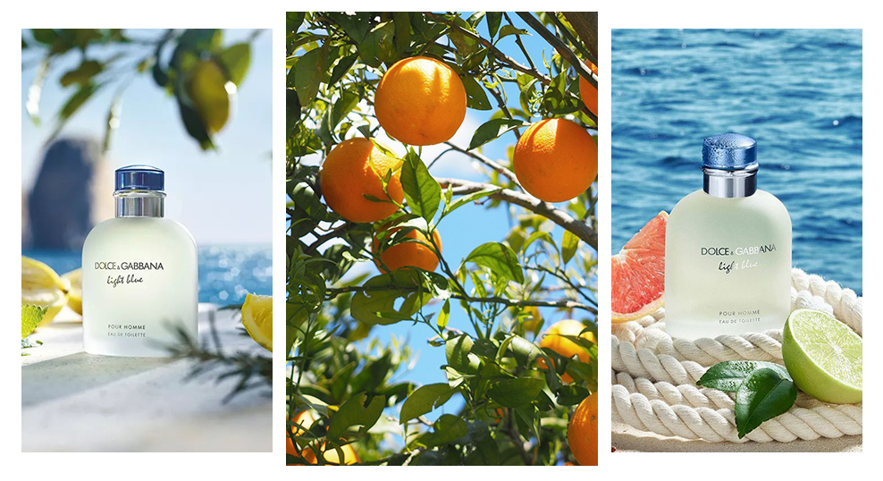 Блог мандарин - зображення Dolce & Gabbana Light Blue Pour Homme