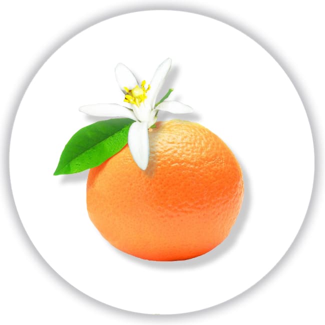  Azzaro Mademoiselle Фото