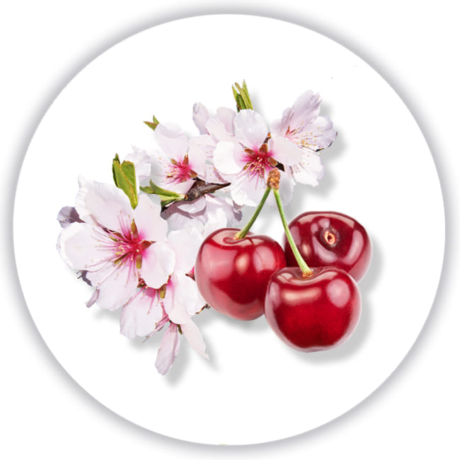 Цветок вишни Max Mara Silk Touch Фото